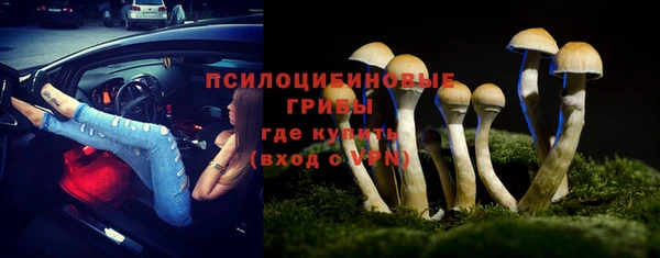 mix Богородск