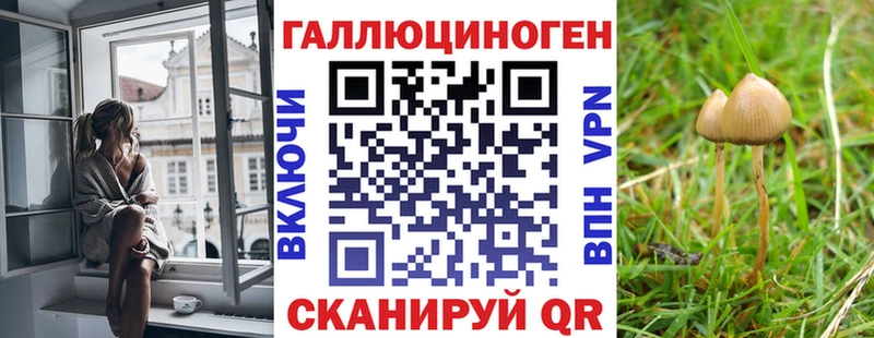 Псилоцибиновые грибы MAGIC MUSHROOMS купить наркотик Чишмы